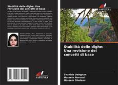 Capa do livro de Stabilità delle dighe: Una revisione dei concetti di base 