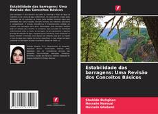 Estabilidade das barragens: Uma Revisão dos Conceitos Básicos的封面