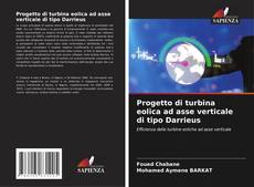 Progetto di turbina eolica ad asse verticale di tipo Darrieus的封面