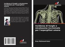 Bookcover of Incidenza di funghi e micotossine incriminate per l'aspergillosi umana