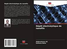Buchcover von Dépôt électrolytique de nanofils