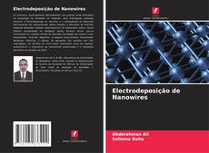 Portada del libro de Electrodeposição de Nanowires