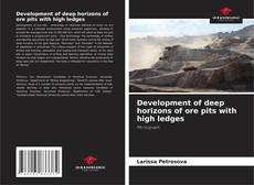 Buchcover von Development of deep horizons of ore pits with high ledges