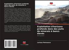 Bookcover of Exploitation d'horizons profonds dans des puits de minerais à bancs élevés