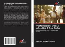 Bookcover of Trasformazioni urbane nella città di São Carlos