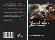 Bookcover of Il sistema di credito agricolo nello Stato di Jammu e Kashmir