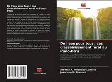 De l'eau pour tous : cas d'assainissement rural au Puno-Peru kitap kapağı
