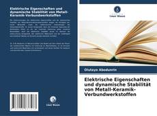 Copertina di Elektrische Eigenschaften und dynamische Stabilität von Metall-Keramik-Verbundwerkstoffen