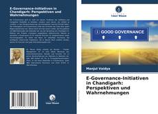 Обложка E-Governance-Initiativen in Chandigarh: Perspektiven und Wahrnehmungen