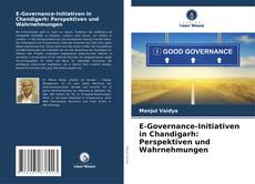 E-Governance-Initiativen in Chandigarh: Perspektiven und Wahrnehmungen kitap kapağı