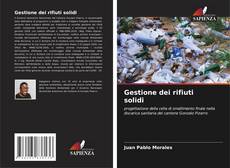 Gestione dei rifiuti solidi kitap kapağı