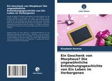 Copertina di Ein Geschenk von Morpheus? Die ungewöhnliche Entstehungsgeschichte von Ein Leben im Verborgenen