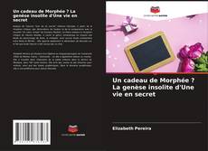 Bookcover of Un cadeau de Morphée ? La genèse insolite d'Une vie en secret