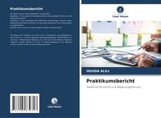 Bookcover of Praktikumsbericht