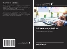 Informe de prácticas kitap kapağı