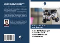 Bookcover of Eine Einführung in Ferroika und multiferroische Materialien