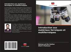 Buchcover von Introduction aux matériaux ferroïques et multiferroïques