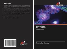 Capa do livro de EPITELIA 