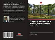 Buchcover von Économie politique de la gestion des ressources naturelles