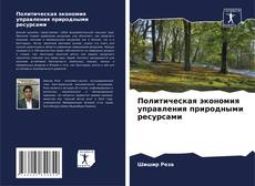 Buchcover von Политическая экономия управления природными ресурсами