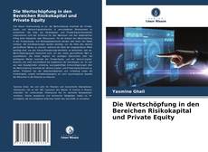 Die Wertschöpfung in den Bereichen Risikokapital und Private Equity kitap kapağı