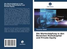 Die Wertschöpfung in den Bereichen Risikokapital und Private Equity的封面