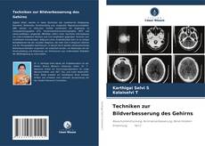 Bookcover of Techniken zur Bildverbesserung des Gehirns