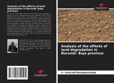 Capa do livro de Analysis of the effects of land degradation in Burundi: Buja province 