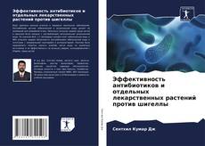 Buchcover von Эффективность антибиотиков и отдельных лекарственных растений против шигеллы