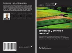 Buchcover von Embarazo y atención prenatal
