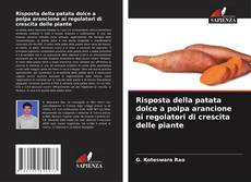 Buchcover von Risposta della patata dolce a polpa arancione ai regolatori di crescita delle piante