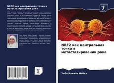 Buchcover von NRF2 как центральная точка в метастазировании рака