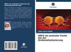 Bookcover of NRF2 als zentraler Punkt bei der Krebsmetastasierung