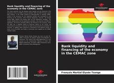 Capa do livro de Bank liquidity and financing of the economy in the CEMAC zone 