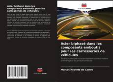 Bookcover of Acier biphasé dans les composants emboutis pour les carrosseries de véhicules