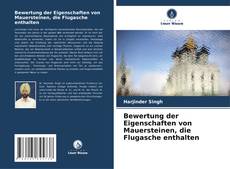 Bewertung der Eigenschaften von Mauersteinen, die Flugasche enthalten kitap kapağı