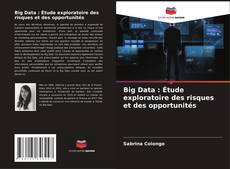 Bookcover of Big Data : Étude exploratoire des risques et des opportunités