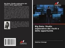 Bookcover of Big Data: Studio esplorativo dei rischi e delle opportunità