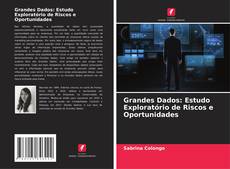 Grandes Dados: Estudo Exploratório de Riscos e Oportunidades的封面