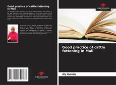 Bookcover of Good practice of cattle fattening in Mali