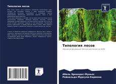 Buchcover von Типология лесов