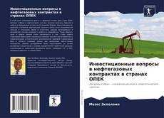Buchcover von Инвестиционные вопросы в нефтегазовых контрактах в странах ОПЕК