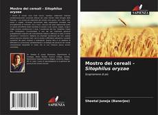 Portada del libro de Mostro dei cereali - Sitophilus oryzae