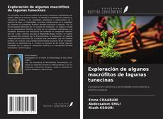 Bookcover of Exploración de algunos macrófitos de lagunas tunecinas