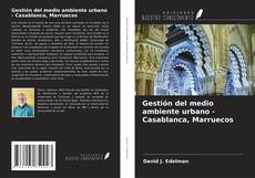 Bookcover of Gestión del medio ambiente urbano - Casablanca, Marruecos