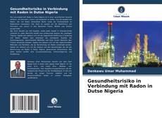 Capa do livro de Gesundheitsrisiko in Verbindung mit Radon in Dutse Nigeria 