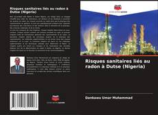 Capa do livro de Risques sanitaires liés au radon à Dutse (Nigeria) 