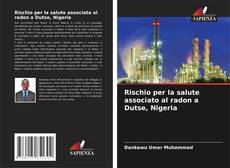 Rischio per la salute associato al radon a Dutse, Nigeria的封面