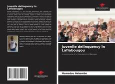 Capa do livro de Juvenile delinquency in Lafiabougou 