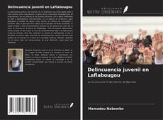 Capa do livro de Delincuencia juvenil en Lafiabougou 